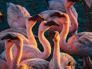Image post by @discovery on Instagram