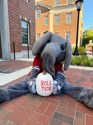 Image post by @univofalabama on Instagram
