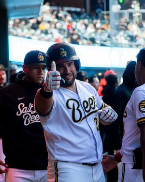 Image post by @saltlakebees on Instagram