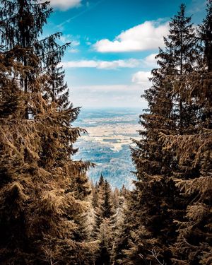 Image post by @cristan.nature.photography on Instagram
