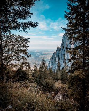 Image post by @cristan.nature.photography on Instagram