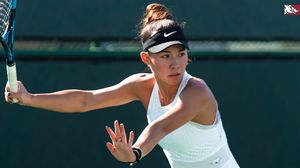 Image post by @razorbackwten on Instagram