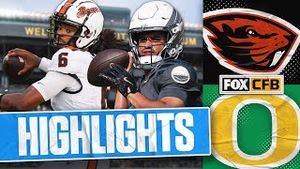Video post by @cfbonfox on YouTube