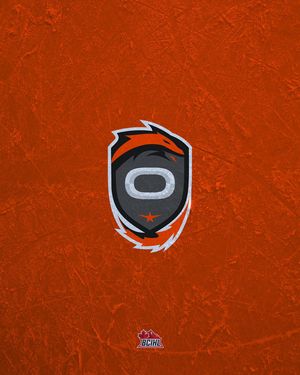 Image post by @bcihlhockey on Instagram