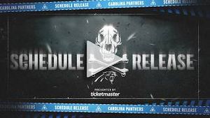 Video post by @Carolina Panthers on YouTube