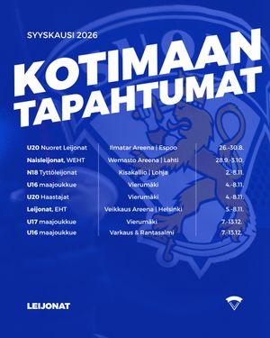 Image post by @leijonatfi on Instagram