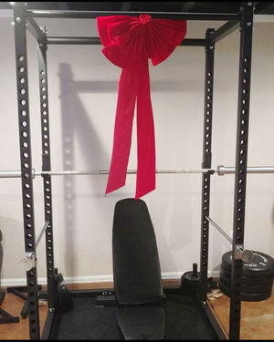 Image post by @repfitnessequipment on Instagram