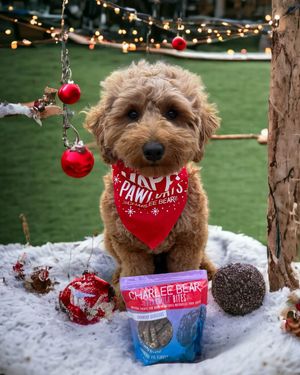 Image post by @charlee_bear_dogtreats on Instagram