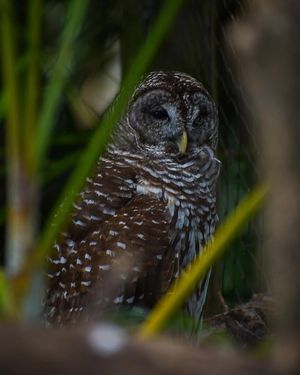 Image post by @collindbphotography on Facebook