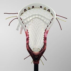 Image post by @warriorlax on Instagram