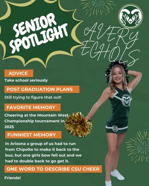 Image post by @csucheerleading on Instagram