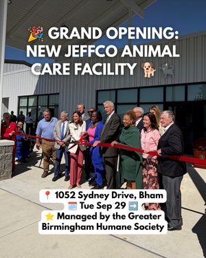 Image post by @bhamnow on Instagram