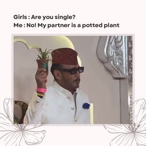 Image post by @leafyaffair on Instagram