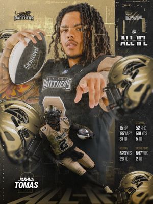 Image post by @panthersifl on Instagram