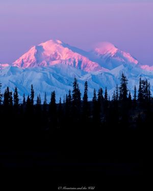 Image post by @nationalparkscollective on Instagram