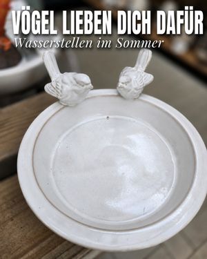 Image post by @oldenburgerwohngarten on Instagram