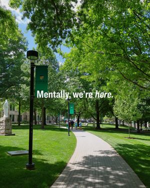 Image post by @loyolamaryland on Instagram