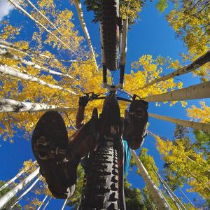 Image post by @vailmtn on Instagram