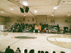 Image post by @beulahbobcats on Instagram