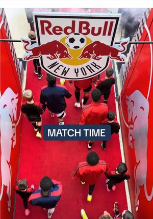 Video post by @nerevolution on TikTok