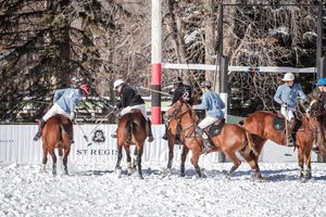 Image post by @uspoloassn on Twitter