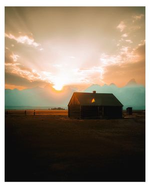 Image post by @willvisuals on Instagram