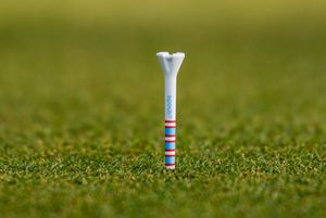 Image post by @evolvegolf on Twitter