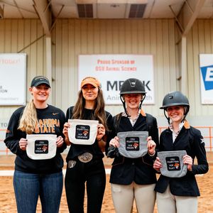Image post by @osuequestrian on Instagram