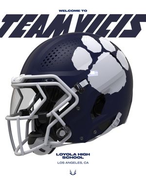 Image post by @vicispro on Instagram
