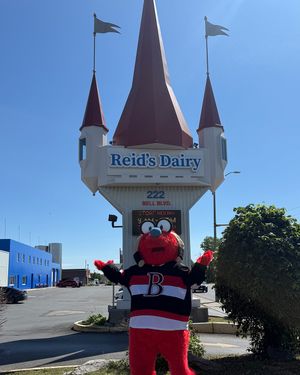 Image post by @bellevillesens on Instagram