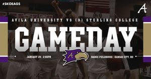 Image post by @Avila_WBBall on Twitter