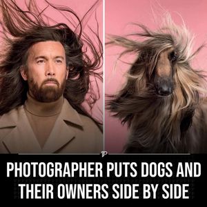 Image post by @behindthechair_com on Instagram
