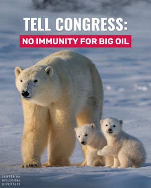 Image post by @centerforbiodiv on Instagram