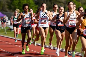 Image post by @xaviertrack on Instagram