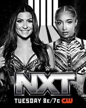 Image post by @WWENXT on Twitter