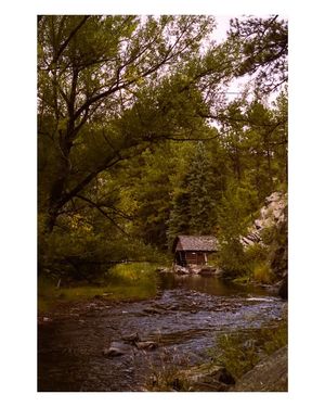 Image post by @W.39thPhotos on Facebook