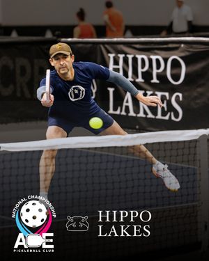 Image post by @acepickleballclub on Instagram