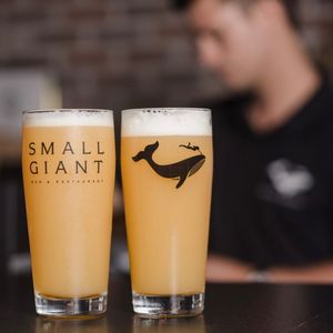 Image post by @watersttampa on Instagram