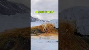 Video post by @cleoabram on YouTube