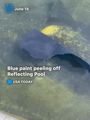 Video post by @usatoday on TikTok