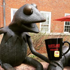 Image post by @marylandterrapins on Instagram