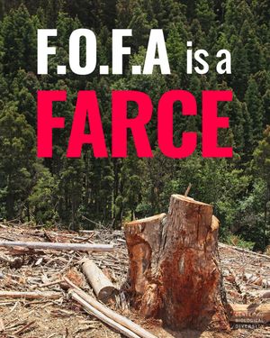 Image post by @centerforbiodiv on Instagram