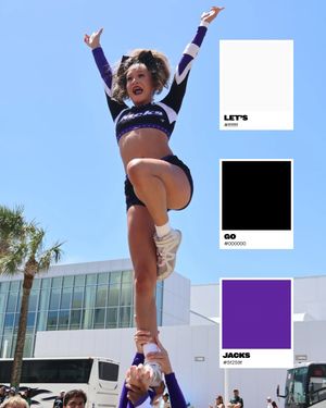 Image post by @sfa_cheer_ on Instagram