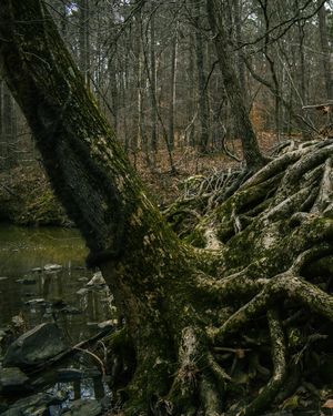 Image post by @jbyrne_photography on Instagram