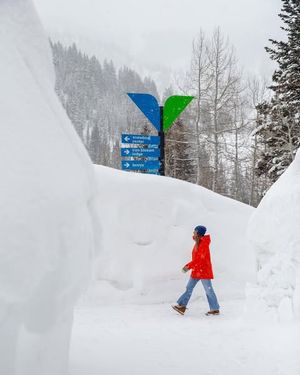 Image post by @snowbird on Instagram