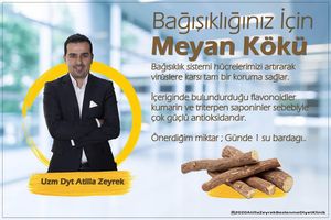 Image post by @uzm.dyt.atillazeyrek on Instagram