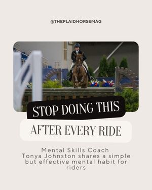 Image post by @theplaidhorsemag on Instagram