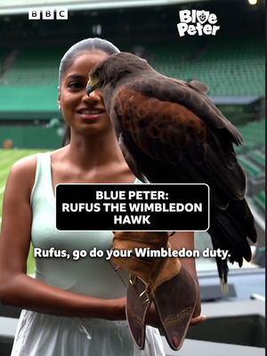 Video post by @cbbc on TikTok