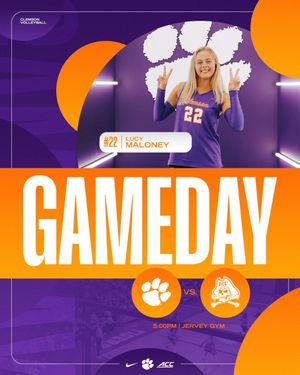 Image post by @clemsonvb on Instagram