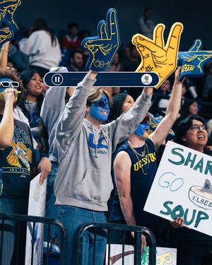 Image post by @ucimbb on Instagram